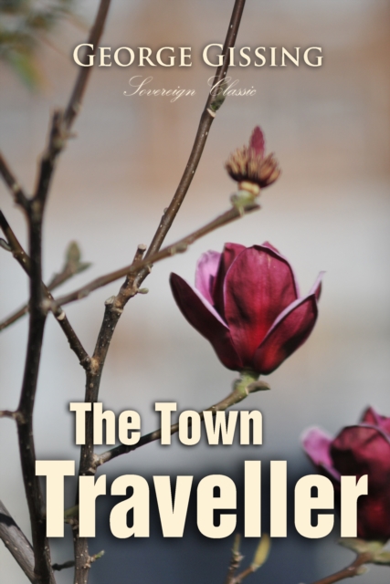 The Town Traveller, EPUB eBook