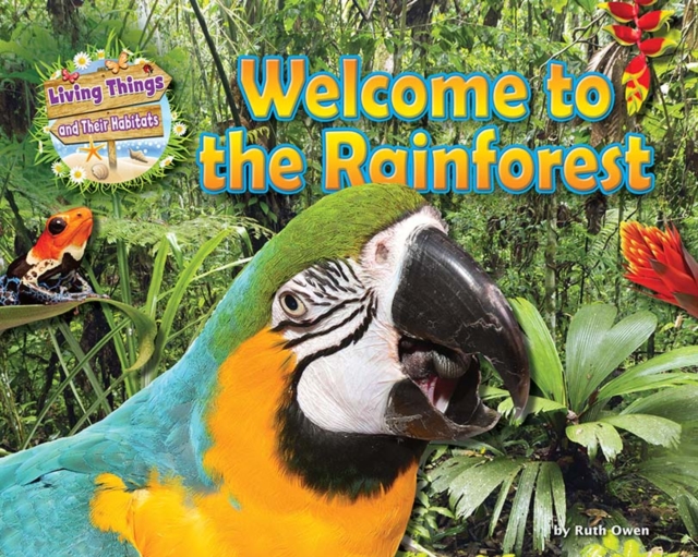 Welcome to the Rainforest, Paperback / softback Book
