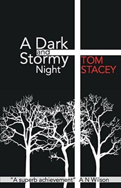 A Dark and Stormy Night, Paperback / softback Book