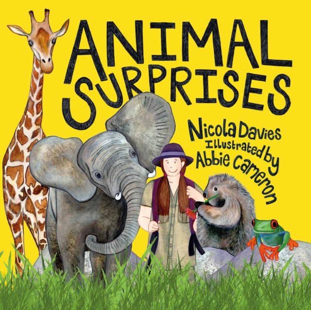 Animal Surprises, EPUB eBook