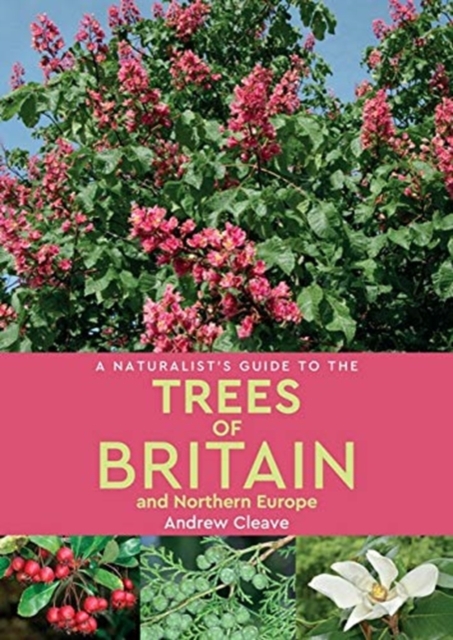 A Naturalist's Guide to the Trees of Britain and Northern Europe (2nd edition), Paperback / softback Book