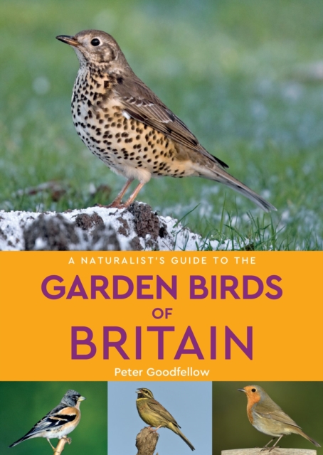 A Naturalist's Guide to the Garden Birds of Britain (2nd edition), Paperback / softback Book