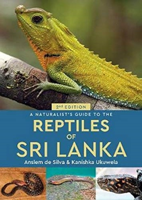A Naturalist's Guide to the Reptiles of Sri Lanka (2nd edition), Paperback / softback Book