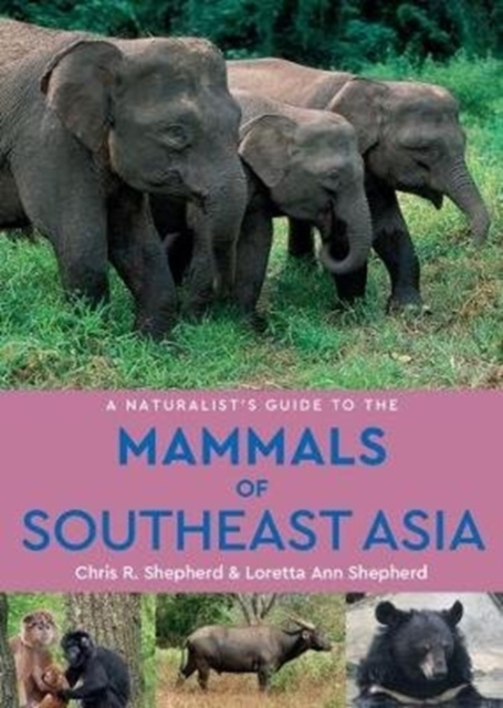 A Naturalist's Guide to the Mammals of Southeast Asia (2nd edition), Paperback / softback Book