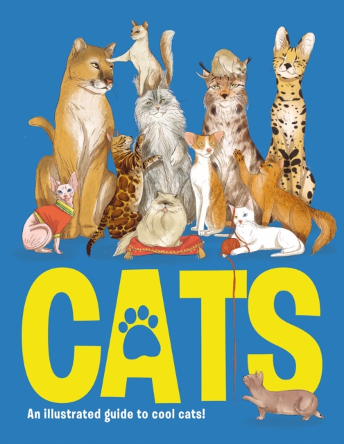 Cats : An Illustrated to Guide to Cool Cats, Hardback Book
