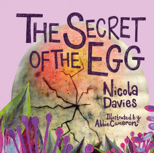 Secret of the Egg, The, Hardback Book