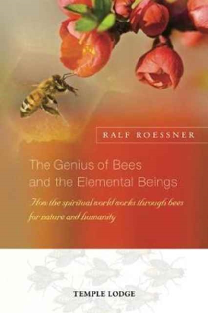 The Genius of Bees and the Elemental Beings : How the Spiritual World Works Through Bees for Nature and Humanity, Paperback / softback Book