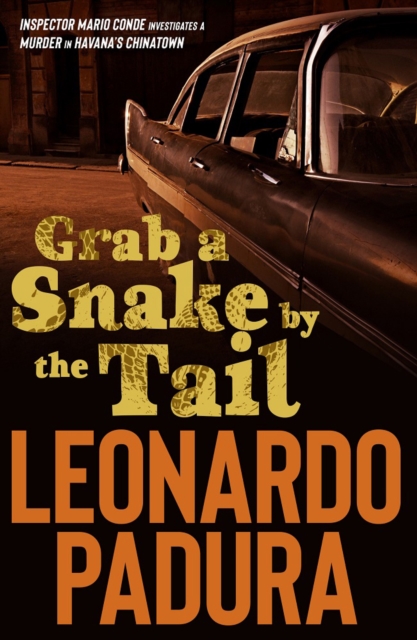 Grab a Snake by the Tail, Paperback / softback Book