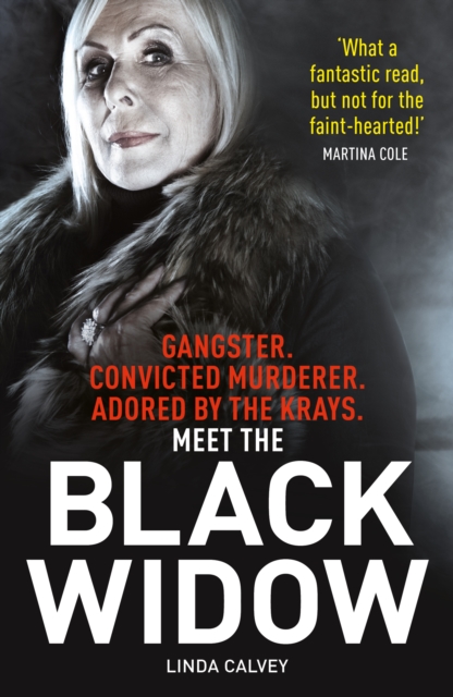 The Black Widow, Paperback / softback Book