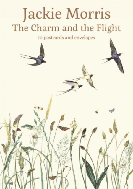 Charm and the Flight Postcard Pack, The, Record book Book