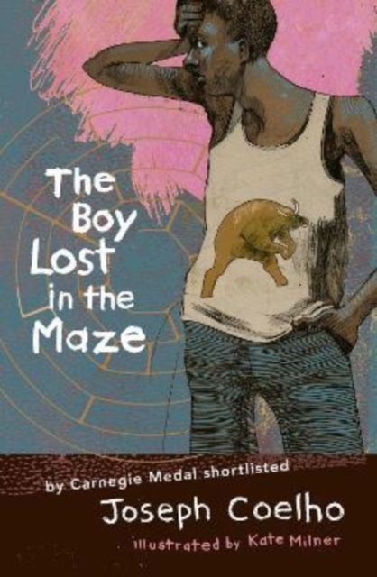 The Boy Lost in the Maze, Hardback Book