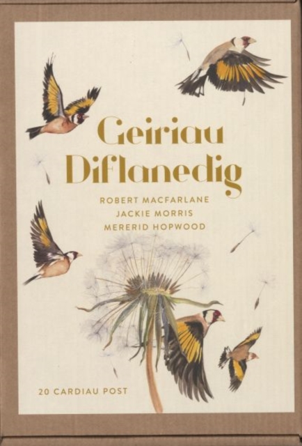 Geiriau Diflanedig (20 Cardiau Post), Record book Book