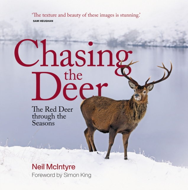 Chasing the Deer : The Red Deer through the Seasons, Hardback Book