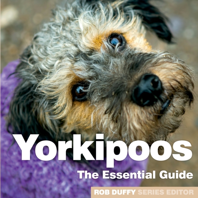 Yorkipoos : The Essential Guide, Paperback / softback Book