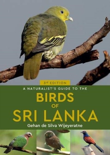 A Naturalist's Guide to the Birds of Sri Lanka (3rd edition), Paperback / softback Book