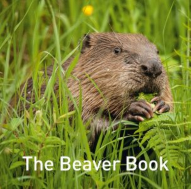 Beaver Book, The, Hardback Book