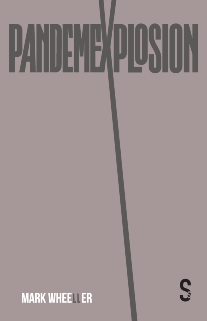 Pandemexplosion, Paperback / softback Book