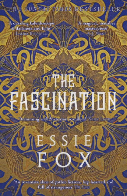 The Fascination, EPUB eBook