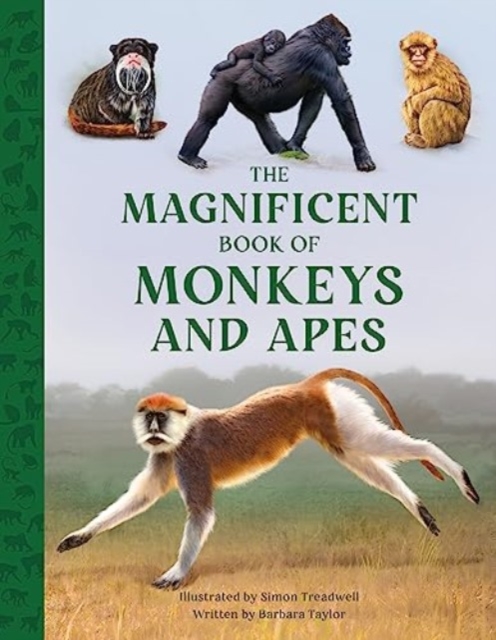 The Magnificent Book of Monkeys and Apes, Hardback Book