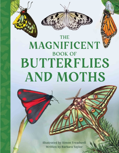 The Magnificent Book of Butterflies and Moths, Hardback Book