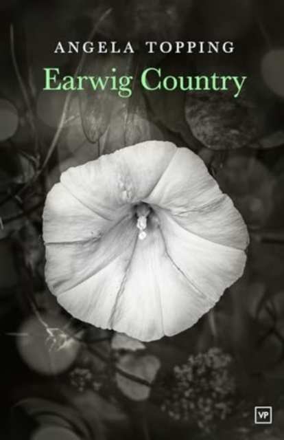 Earwig Country, Paperback / softback Book