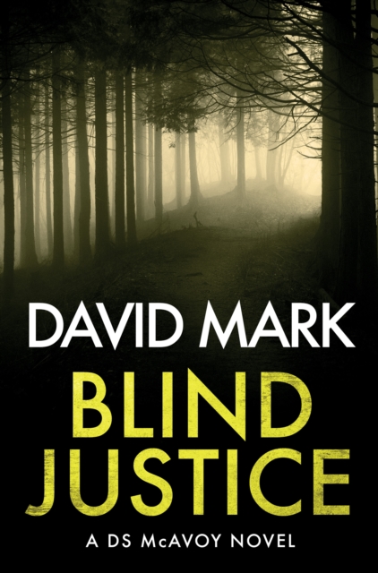 Blind Justice, Paperback Book