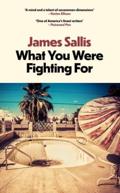 What You Were Fighting For, Paperback / softback Book