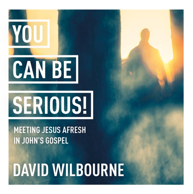 You Can Be Serious! Meeting Jesus afresh in John's Gospel : York Courses, CD-Audio Book