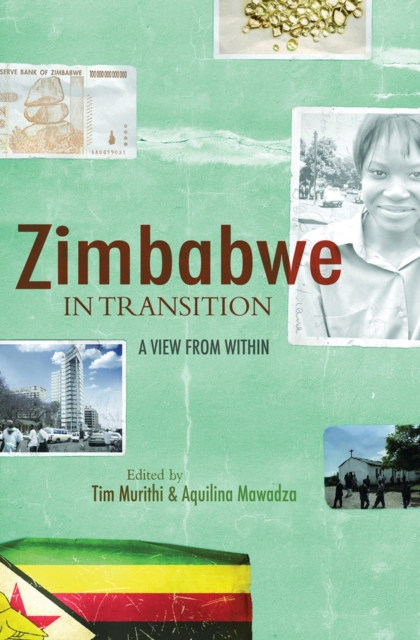 Zimbabwe in transition : A view from within, Paperback / softback Book