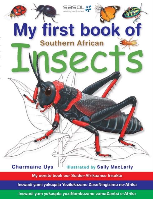 My First Book of Southern African Insects, PDF eBook