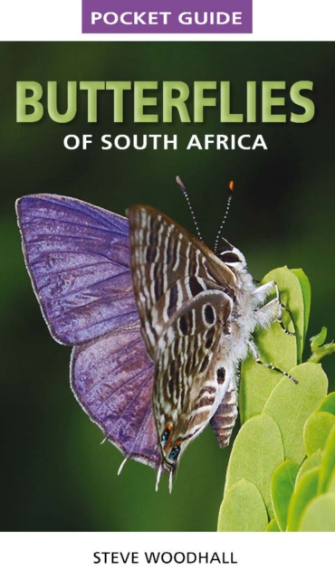 Pocket Guide Butterflies of South Africa, EPUB eBook