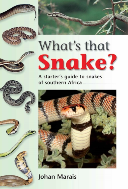 What's that Snake?, PDF eBook