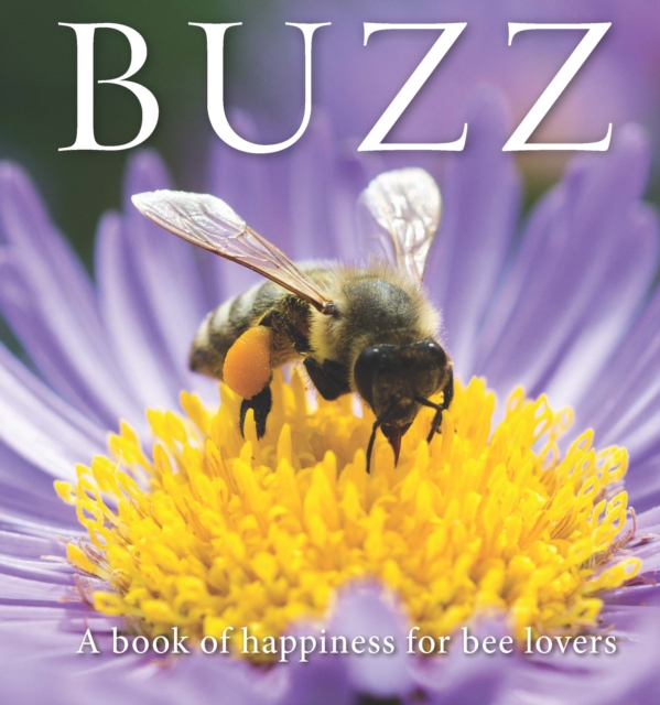 Buzz, Hardback Book