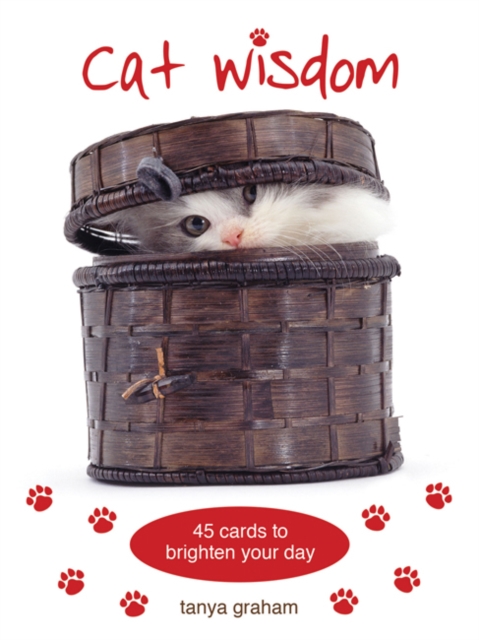 Cat Wisdom Cards : 45 Cards to Brighten Your Day, Cards Book