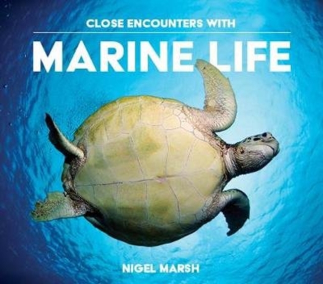 Close Encounters with Marine Life, Paperback / softback Book