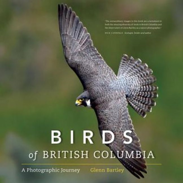 Birds of British Columbia : A Photographic Journey, Hardback Book