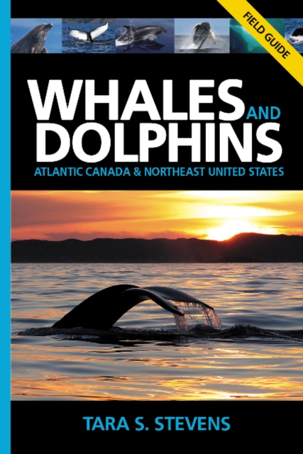 Whales & Dolphins of Atlantic Canada & Northeast United States : Field Guide, Paperback / softback Book
