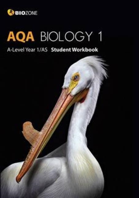 AQA Biology 1 A-Level 1/AS : Student Workbook, Paperback Book