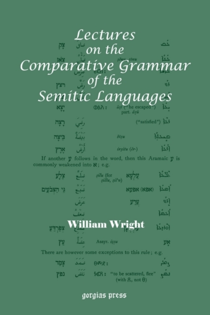 Lectures on the Comparative Grammar of the Semitic Languages : With a New Introduction by Patrick Bennett, Paperback / softback Book