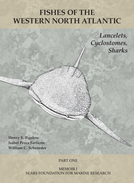 Lancelets, Cyclostomes, Sharks : Part 1, Paperback / softback Book