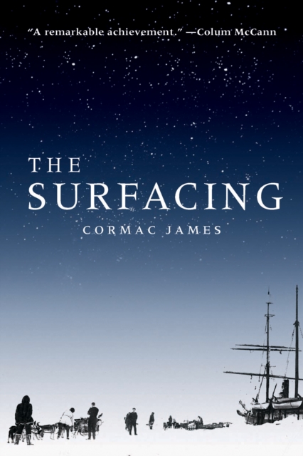 The Surfacing, EPUB eBook