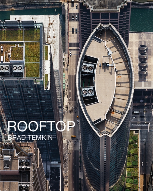 Brad Temkin: Rooftop, Hardback Book