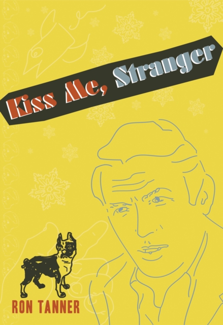 Kiss Me Stranger : An Illustrated Novel, Paperback Book