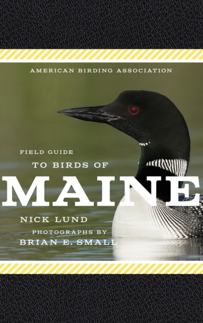 American Birding Association Field Guide to Birds of Maine, Paperback / softback Book