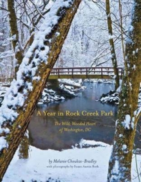 A Year in Rock Creek Park : The Wild, Wooded Heart of Washington, Dc, Hardback Book