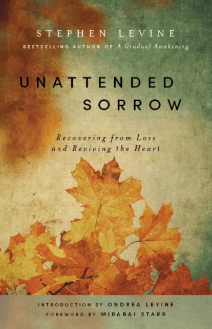 Unattended Sorrow : Recovering from Loss and Reviving the Heart, Paperback / softback Book