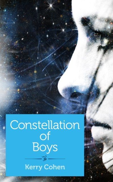 Constellation of Boys, EPUB eBook