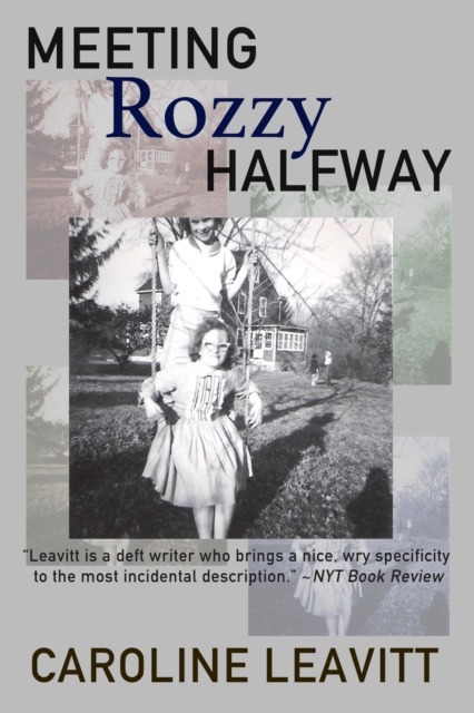 Meeting Rozzy Halfway, EPUB eBook