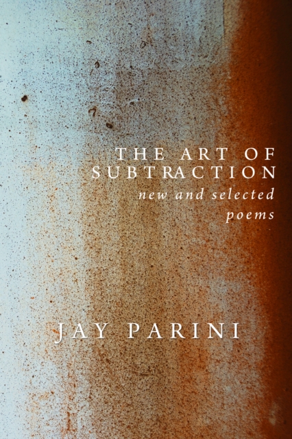 The Art of Subtraction, EPUB eBook