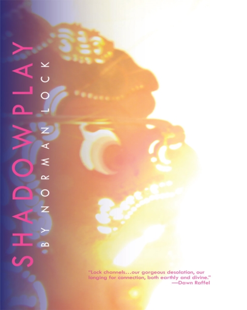 Shadowplay, EPUB eBook